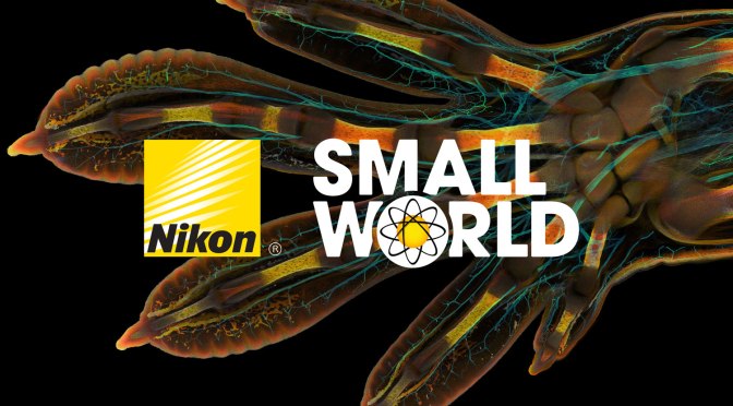 NIKON SMALL WORLD PHOTOMICROGRAPHY COMPETITION