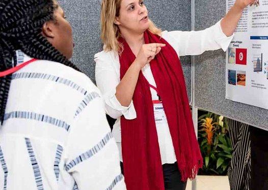 SCHLUMBERGER FOUNDATION FACULTY FOR THE FUTURE FELLOWSHIP PROGRAM