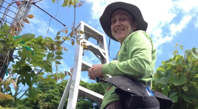 KATHARINE H. PUTNAM FELLOWSHIP IN PLANT SCIENCE AT THE ARNOLD ARBORETUM OF HARVARD UNIVERSITY