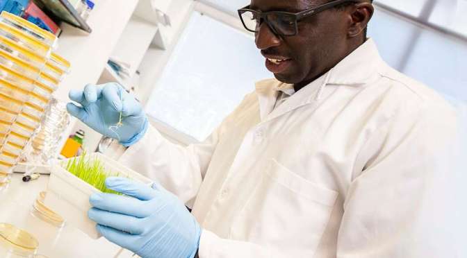 ICGEB SMART FELLOWSHIP