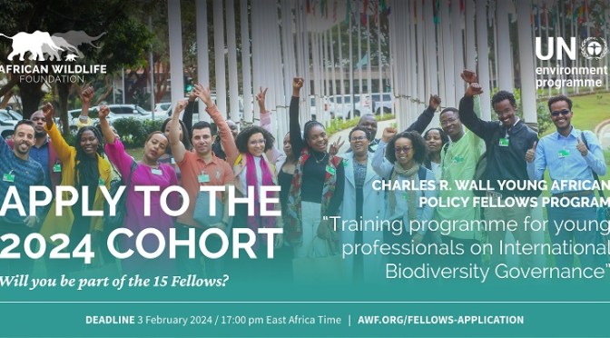 CHARLES R. WALL YOUNG AFRICAN POLICY FELLOWS