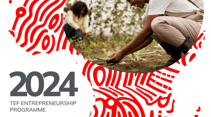 TONY ELUMELU FOUNDATION ENTREPRENEURSHIP PROGRAMME