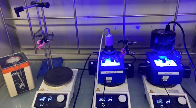 ROYAL SOCIETY RISING STAR AFRICA PRIZE