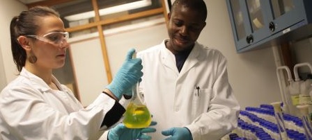 COIMBRA GROUP SCHOLARSHIP PROGRAMME FOR YOUNG RESEARCHERS FROM SUB-SAHARAN AFRICA