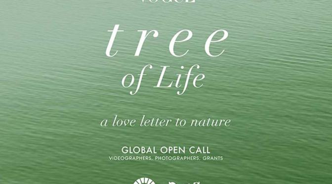 VOGUE PHOTO-THE TREE OF LIFE: A LOVE LETTER TO NATURE GLOBAL OPEN CALL GRANTS FOR VIDEOGRAPHERS AND PHOTOGRAPERS.