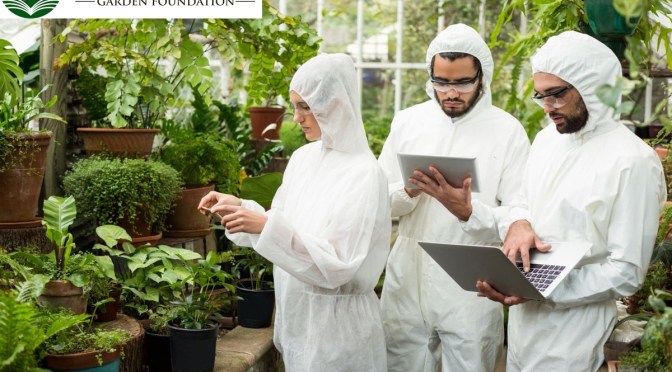 OAK SPRING GARDEN FOUNDATION’S FELLOWSHIP IN PLANT CONSERVATION BIOLOGY