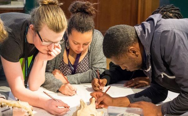 UNIVERSITY OF SUSSEX JOHN KINGHORN SCHOLARSHIP IN ENGINEERING