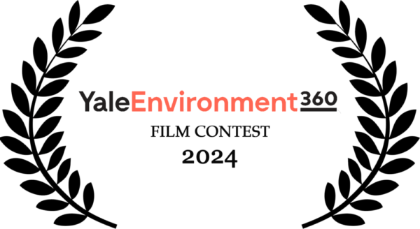ELEVENTH ANNUAL YALE ENVIRONMENT 360 FILM CONTEST