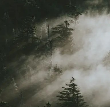 THE NATURE PHOTOGRAPHY CONTEST