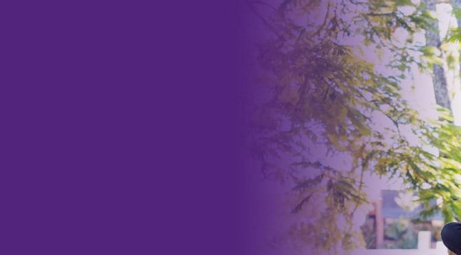 UNIVERSITY OF QUEENSLAND LIVERIS ACADEMY UNDERGRADUATE SCHOLARSHIP