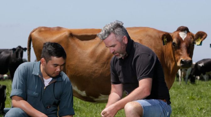 UNIVERSITY OF NEW ZEALAND ALIGN SCHOLARSHIPS PROGRAM FOR UNDERGRATE STUDENTS