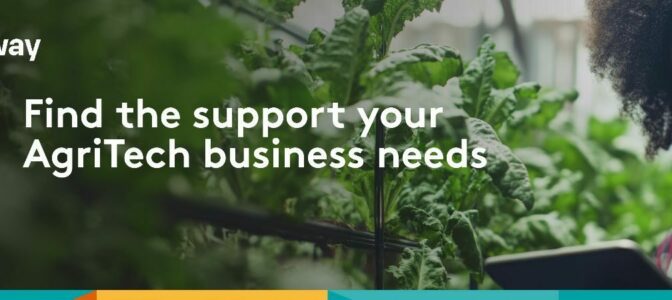 MEST AFRICA CHALLENGE