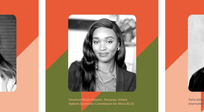 2025 MO IBRAHIM FOUNDATION LEADERSHIPFELLOWSHIP PROGRAM