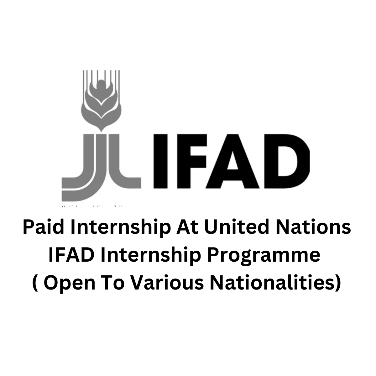 IFAD INTERNSHIP PROGRAMME | YouthExpat