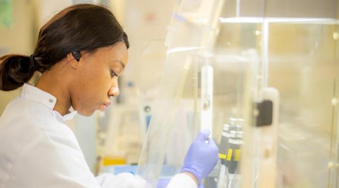 CURTIN UNIVERSITY 2025 HDR SCHOLARSHIP – TARGETING BRAIN VASCULATURE TO STUDY BRAIN DISORDERS