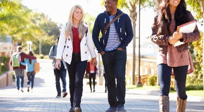 LINCOLN UNIVERSITY INTERNATIONAL UNDERGRADUATE SCHOLARSHIP