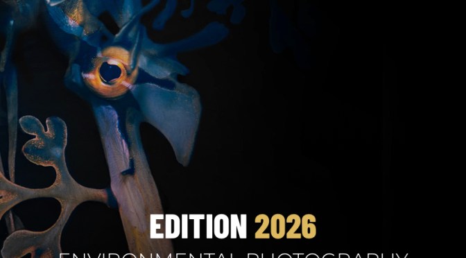 THE ENVIRONMENTAL PHOTOGRAPHY AWARD  