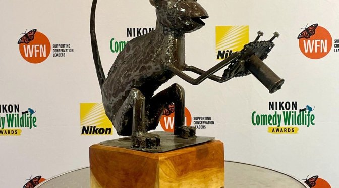 NIKON COMEDY WILDLIFE AWARDS