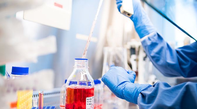 VIENNA BIOCENTER SCIENTIFIC POSTDOCS PROGRAM (2025 – 2030) 