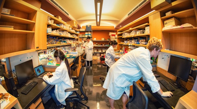 OIST RESEARCH INTERNSHIP PROGRAM