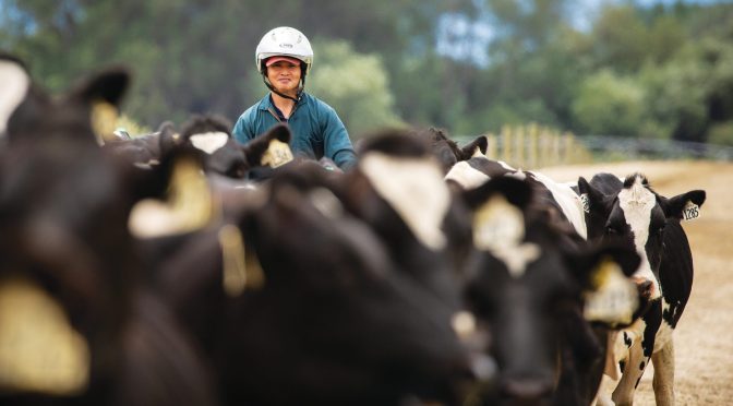 ALIGN FARMS AGRICULTURE SCHOLARSHIP AT THE UNIVERSITY OF MASSEY