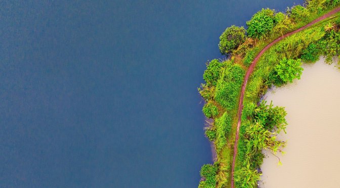 CORNELL ATKINSON POSTDOCTORAL FELLOWSHIP IN SUSTAINABILITY: 2027 CALL FOR APPLICATIONS